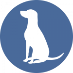 Ziemer Falke Logo